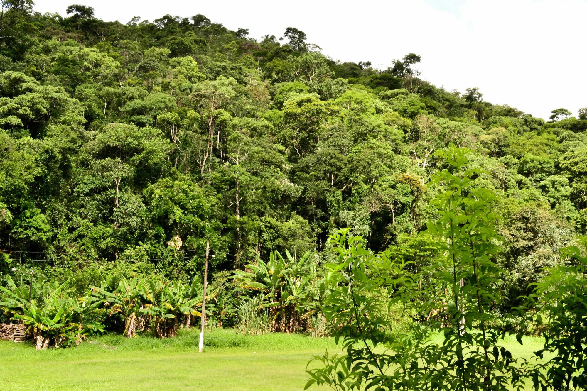 Vale Verde Penedo Hotel Buitenkant foto